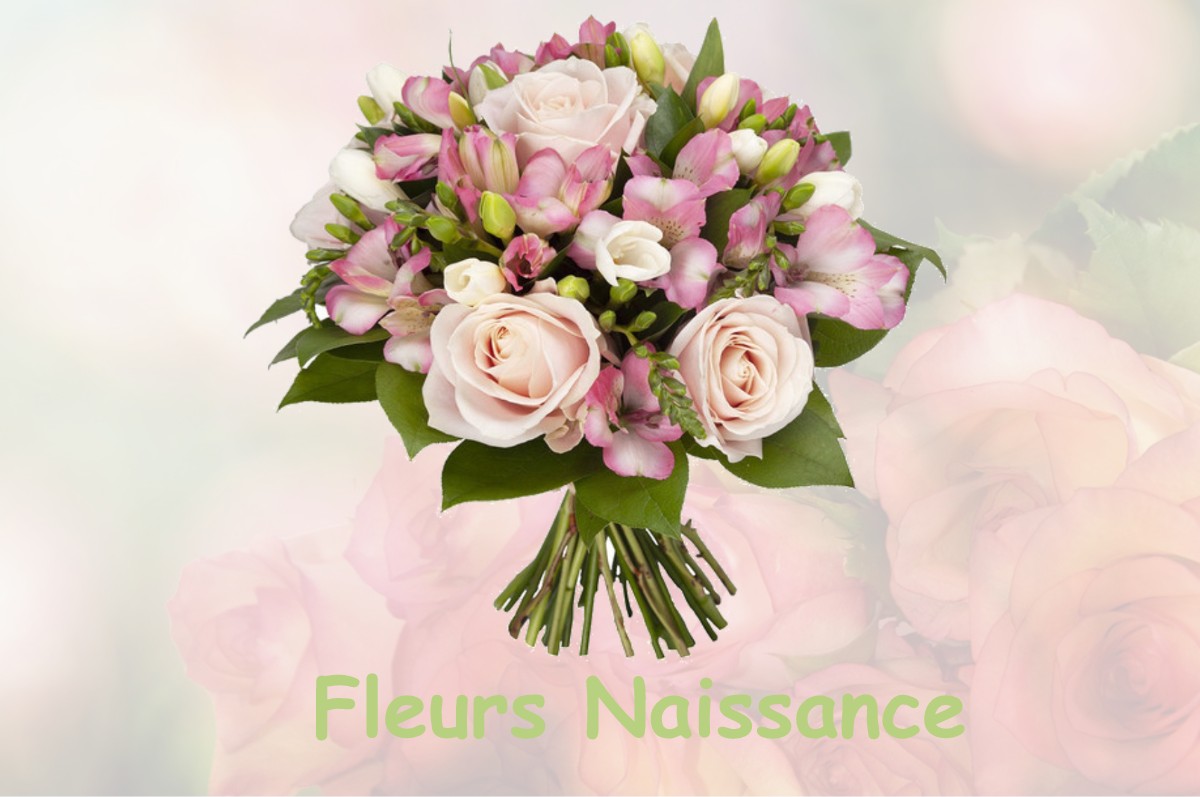 fleurs naissance BRERY