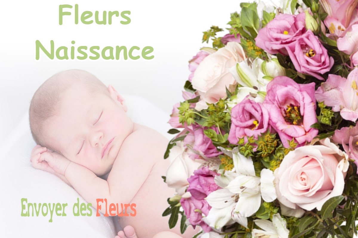 lIVRAISON FLEURS NAISSANCE à BRERY